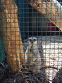 DSC00390