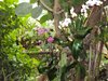 DSC01075