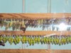 DSC01095