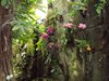DSC01076