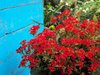 DSC01084