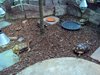 DSC01098