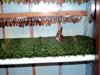 DSC01092