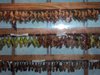 DSC01094