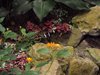 DSC01086