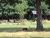 DSC01180