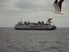 vakantie texsel 2011 (2)
