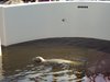vakantie texsel 2011 (18)