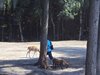 DSC00439