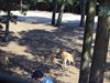 DSC00440