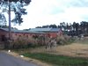 DSC00447