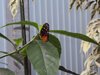 DSC00806