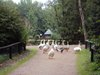 DSC00759