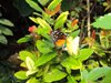 DSC00803
