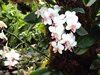 DSC00802