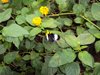 DSC00799