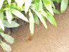 DSC00804